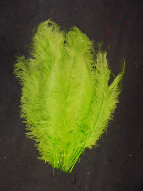 Ostrich Feather Plume 18-24 INCH LIME